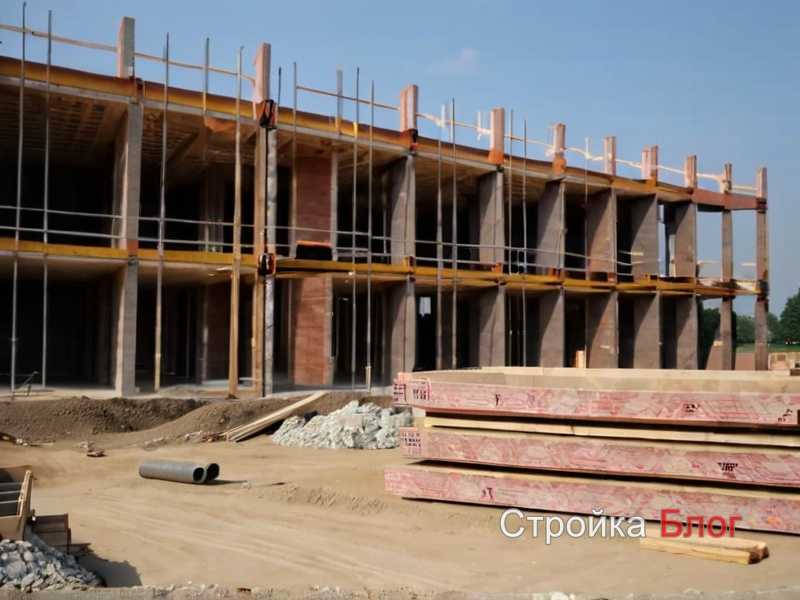 Выбор породы и обработка поверхности