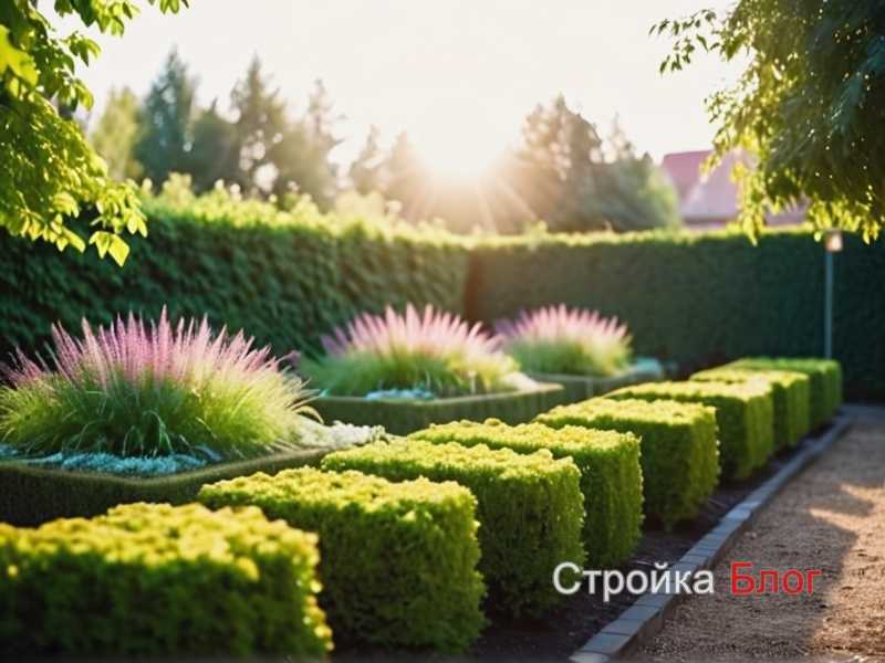 Секреты создания вертикальных садов с вьющейся фасолью