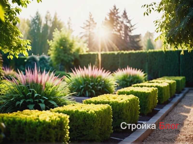 Обрезка как инструмент профилактики