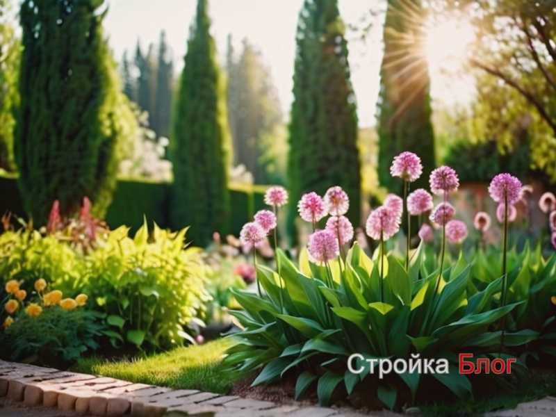 Подбор сочетаний хвойных и декоративных культур для зимнего сада