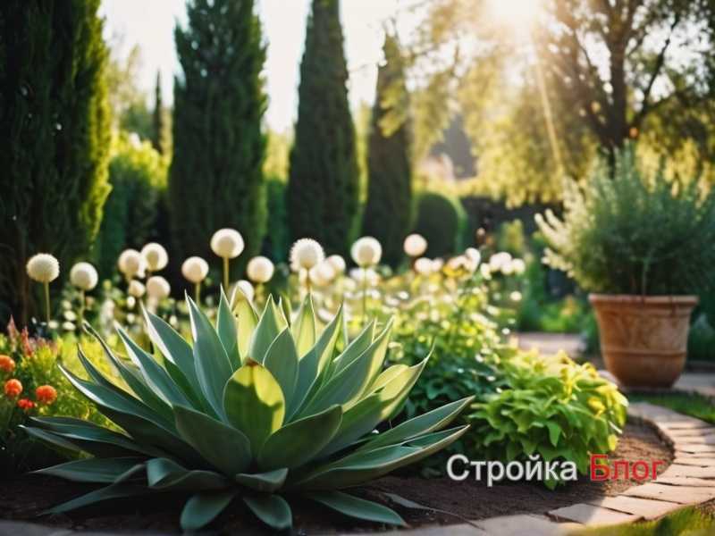Комбинирование декоративных и функциональных растений