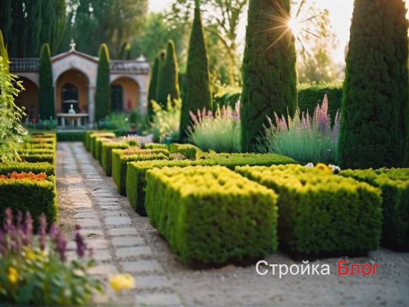 Выращивание декоративного мака в саду Выращивание декоративного мака в саду