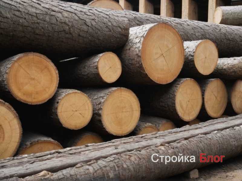 Рекомендации по организации и уходу