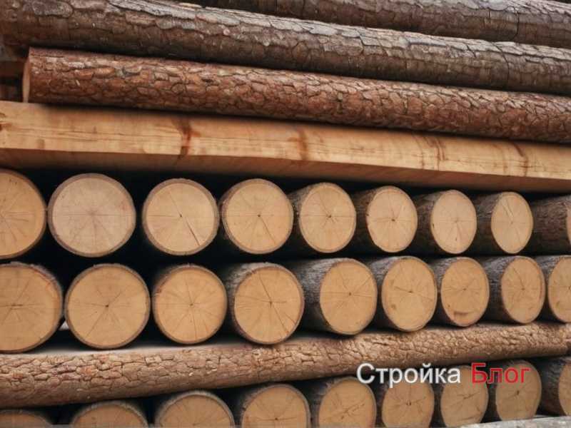 Требования к окраске и защитной обработке дерева