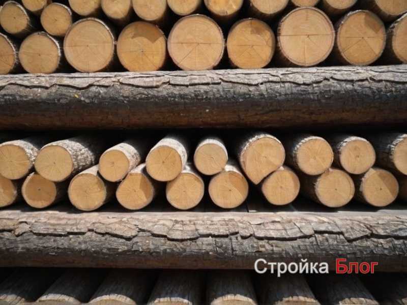 Определение размеров и планировка расположения перегородки