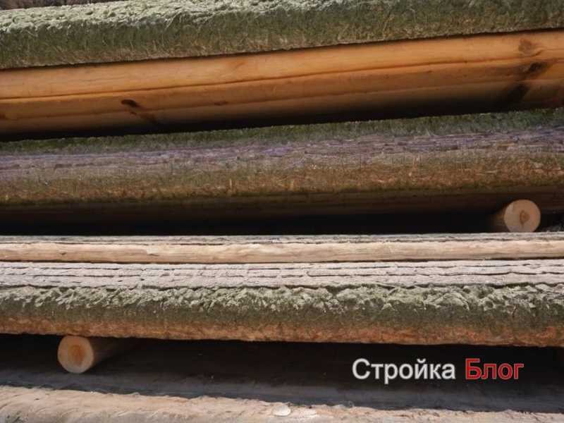 Топ-10 пород дерева для внутренней отделки Топ-10 пород дерева для внутренней отделки