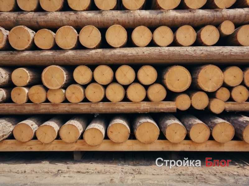 Срок службы разных пород древесины