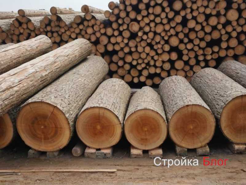 Как выбрать древесину для пола в условиях высокой влажности