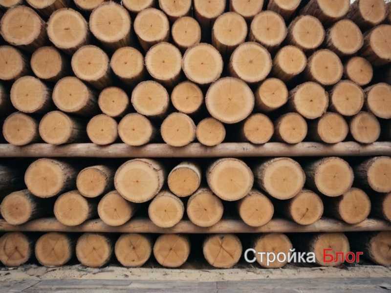 Выбор между массивной доской и инженерной древесиной для ванной