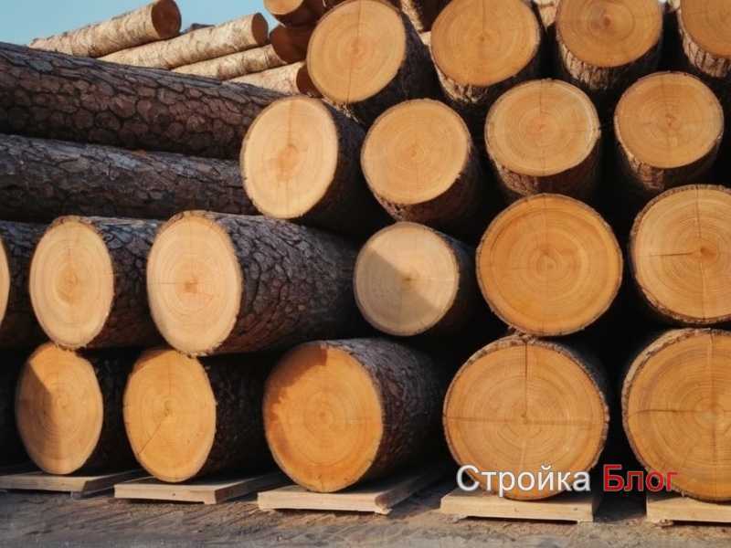 Пренебрежение защитой древесины от солнечного света и влаги