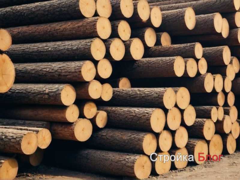 Что важно знать перед покупкой строительного леса Что важно знать перед покупкой строительного леса