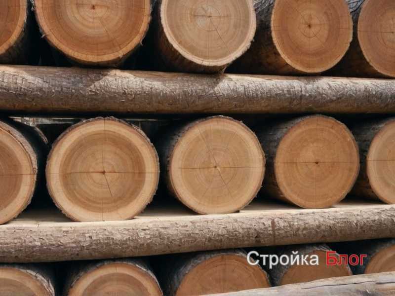 Какие технологии используются для защиты древесины от влаги Какие технологии используются для защиты древесины от влаги