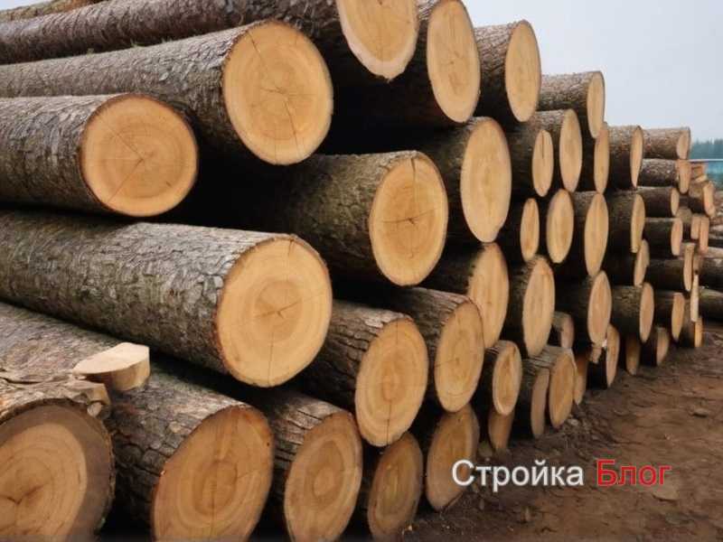 Какие породы древесины подходят для кухонных стеллажей?