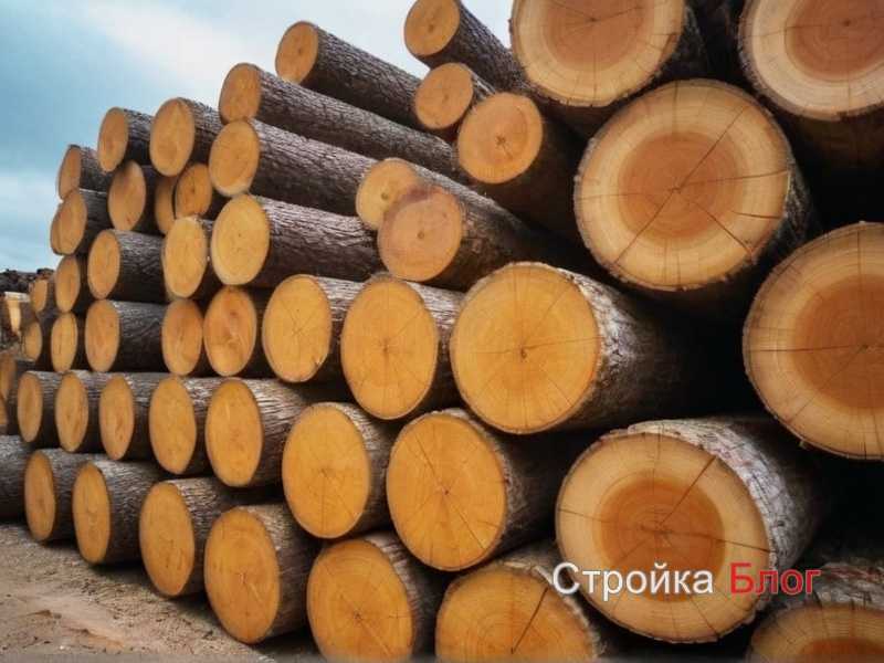 Как работать с морилкой при отделке древесины Как работать с морилкой при отделке древесины