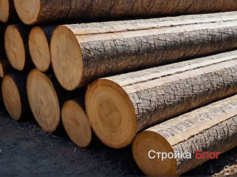 Необходимые инструменты для резьбы и обработки древесины