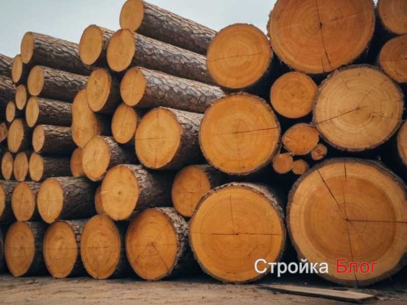 Сравнение натуральной и обработанной древесины