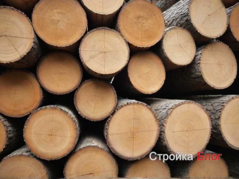 Лучшие породы дерева для напольных покрытий