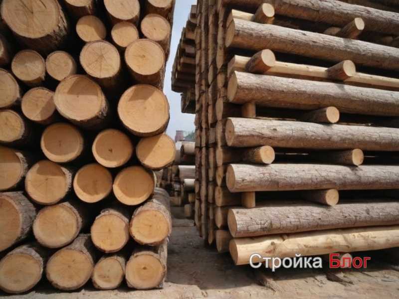 Как правильно выбирать древесину по степени влажности для строительных работ Как правильно выбирать древесину по степени влажности для строительных работ