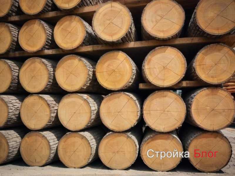 Методы защиты от плесени и грибка