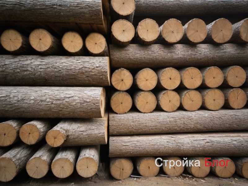 Выбор подходящей древесины для подставок