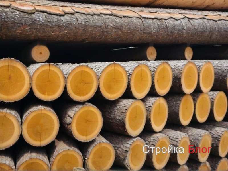 Как выбрать древесину для наружных дверей Как выбрать древесину для наружных дверей