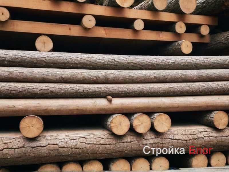 Какой шлифовальный инструмент выбрать для работы с деревом Какой шлифовальный инструмент выбрать для работы с деревом