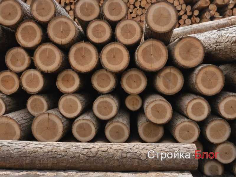 Дерево и плитка: баланс тепла и устойчивости