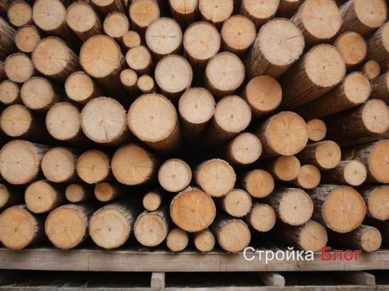 Почему выбор краски влияет на результат