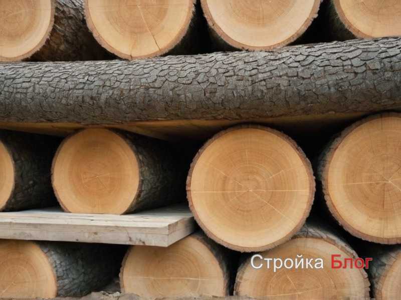 Методы повышения устойчивости древесины