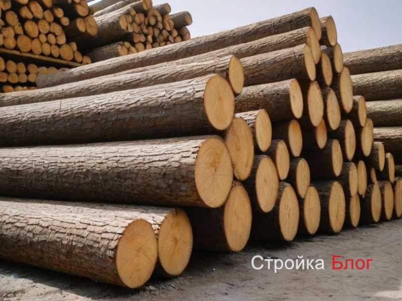 Как использовать древесину для изготовления прочных и долговечных мебели для офиса