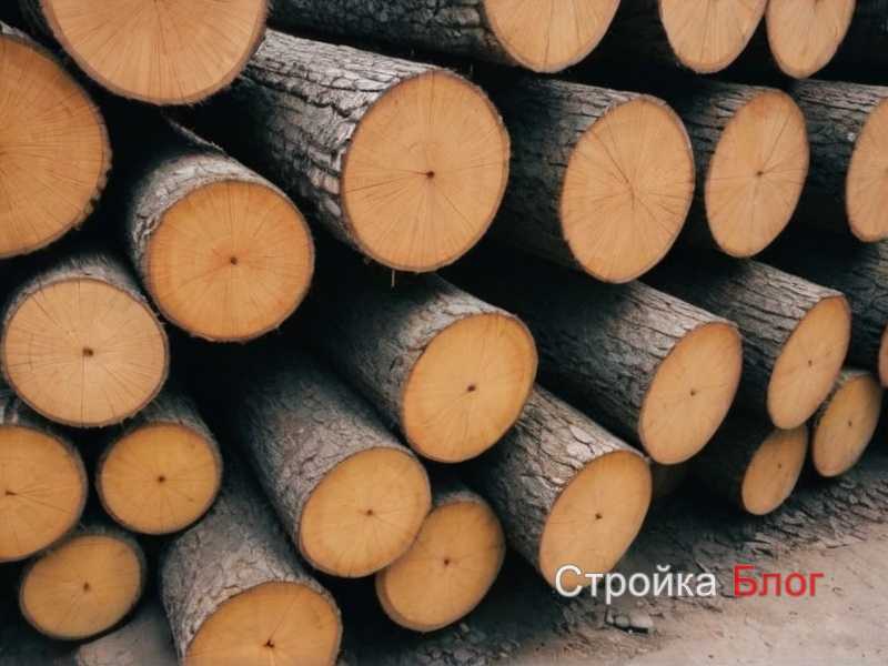 Рекомендации по выбору