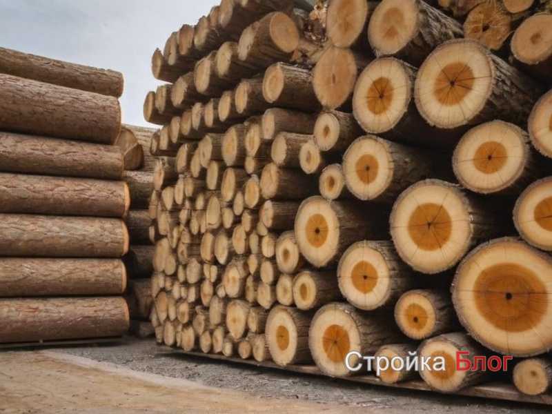 Как определить качество и влажность пиломатериала перед покупкой