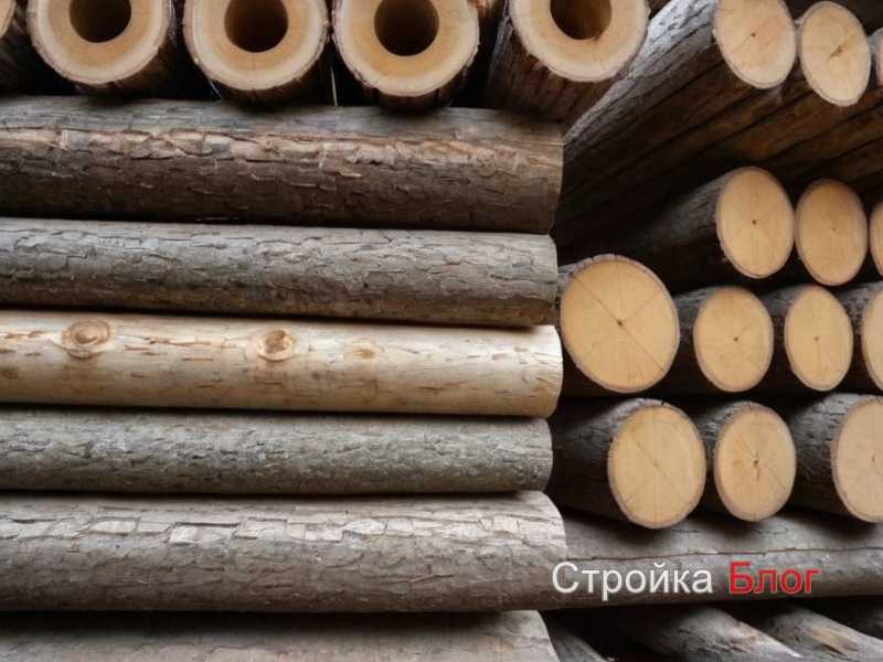 Выбор породы древесины для разных помещений