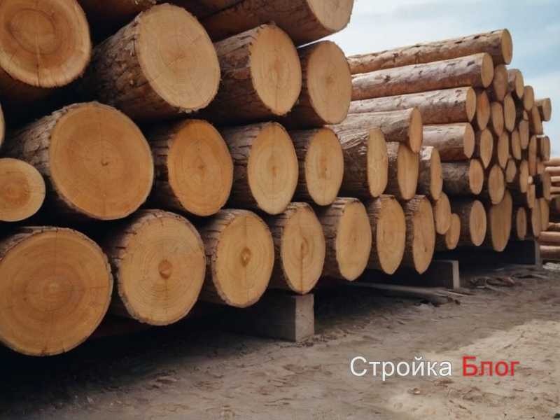 3. Регулярная обработка и уход