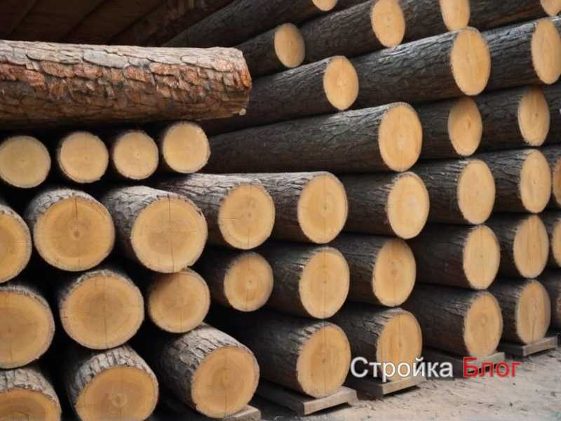 Ошибки при выборе древесины и как их избежать