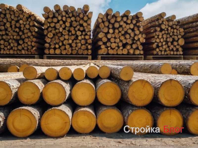 Как распознать качественные доски и избежать брака