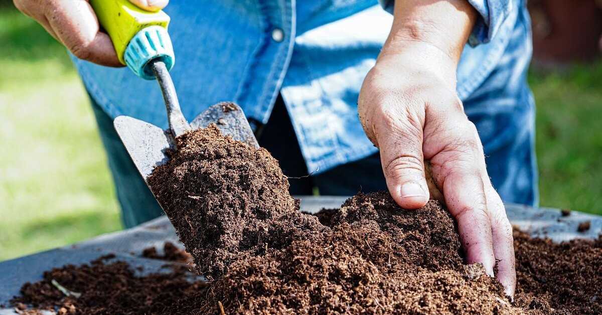 Советы по использованию мульчи для сохранения качества почвы